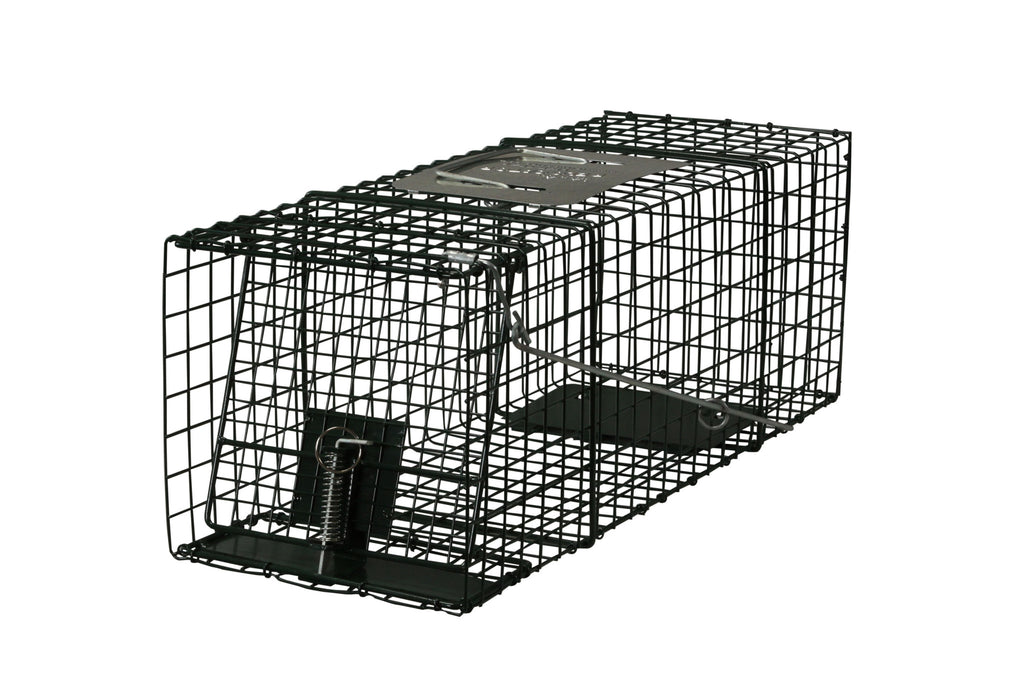 Collapsible Live Trap Cage