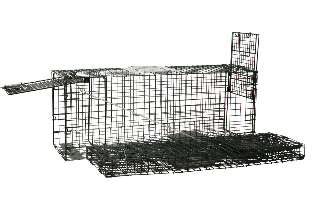 Live Trap Combo Value Pack (Set of 2) with Spring Loaded Doors