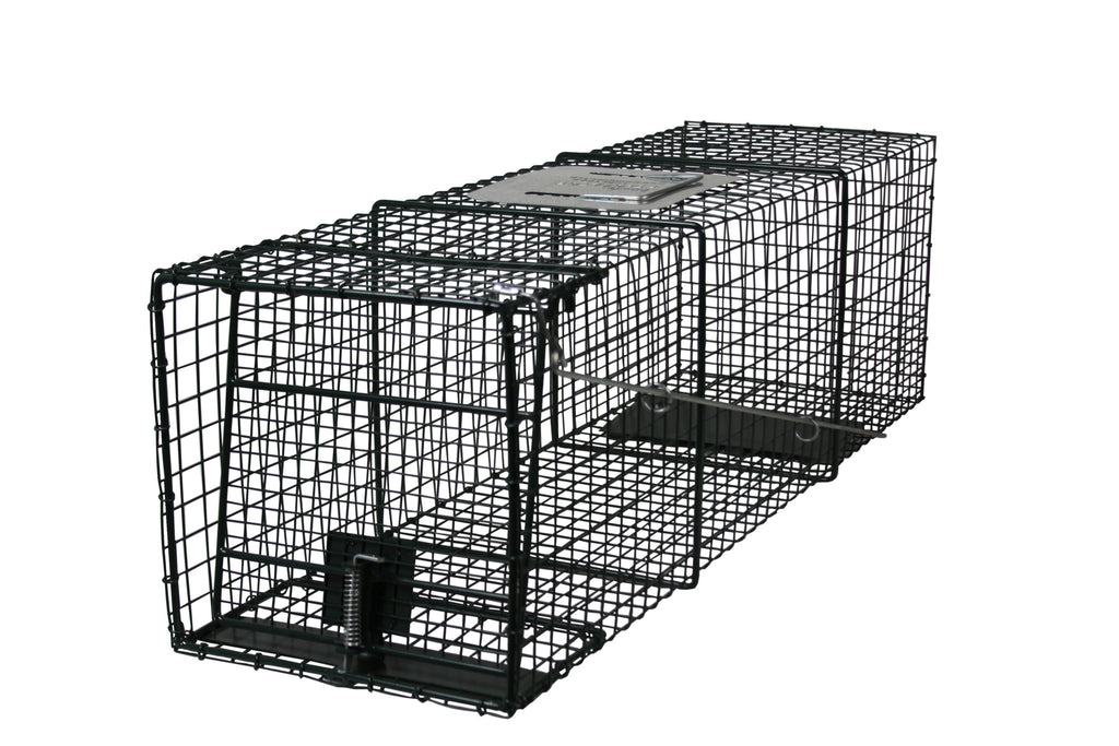 Live Trap Combo Value Pack (Set of 2) with Spring Loaded Doors